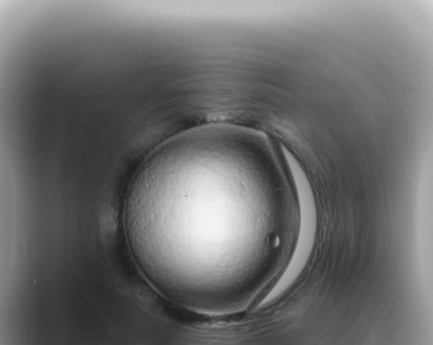 X0000089860691200707051133