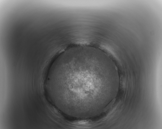 X0000089860692200707051133