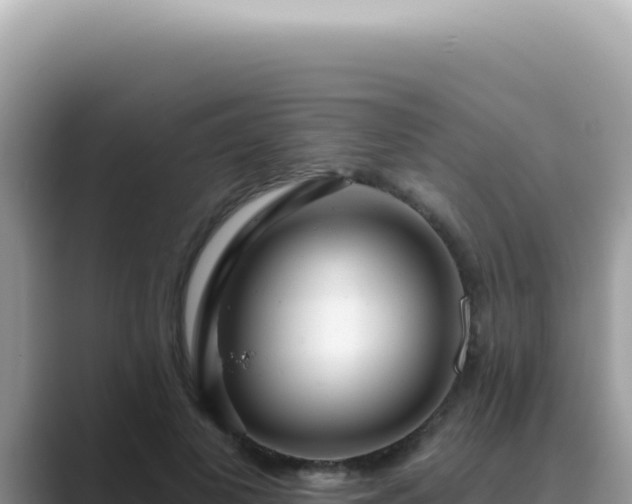 X0000089860693200707051133