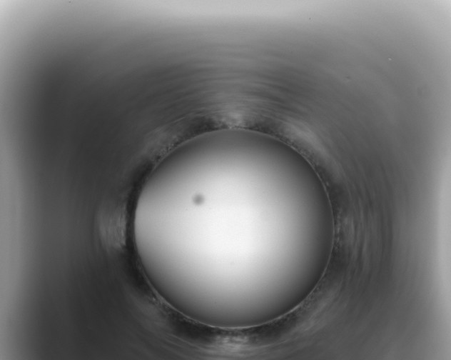 X0000089860694200707051133