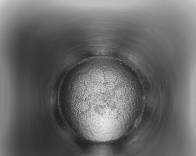 X0000089860695200707051133
