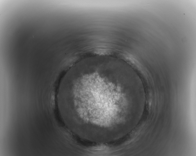 X0000089860696200707051133