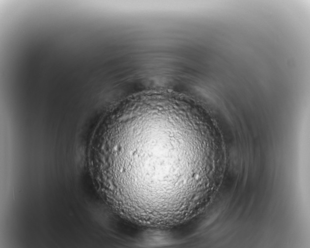 X0000089860699200707051133