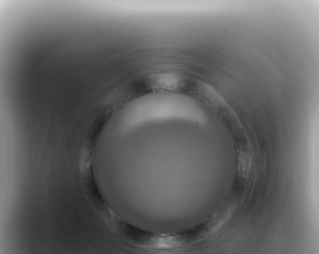 X0000089860701200707051133