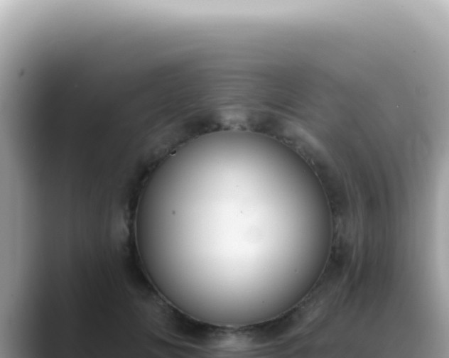 X0000089860702200707051133
