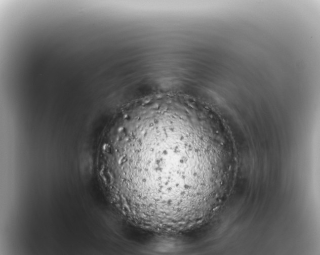 X0000089860703200707051133