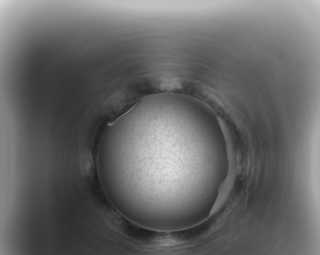 X0000089860704200707051133