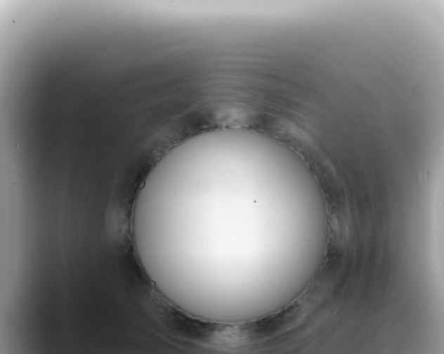 X0000089860705200707051133