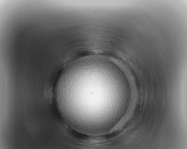 X0000089860707200707051133
