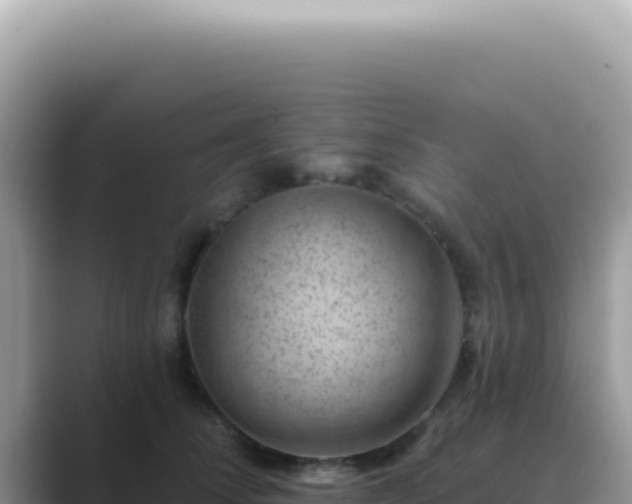 X0000089860708200707051133