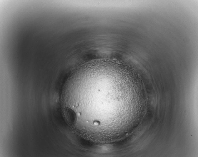 X0000089860711200707051133