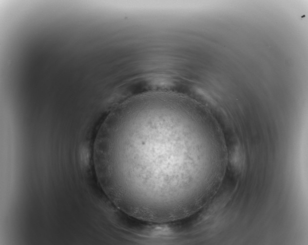 X0000089860715200707051133