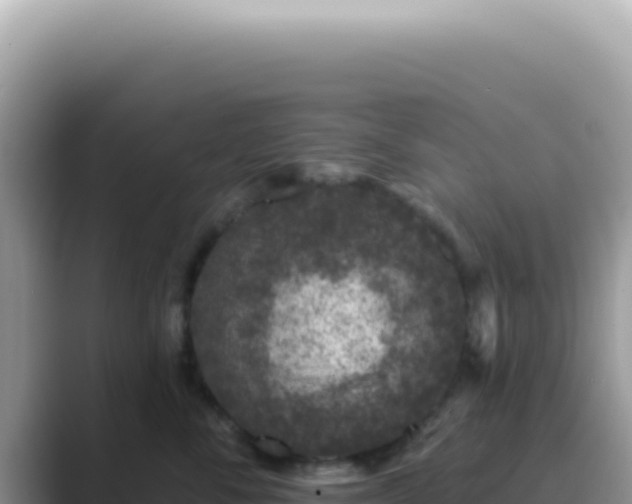 X0000089860716200707051133