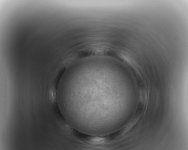 X0000089860718200707051133