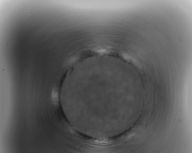 X0000089860720200707051133