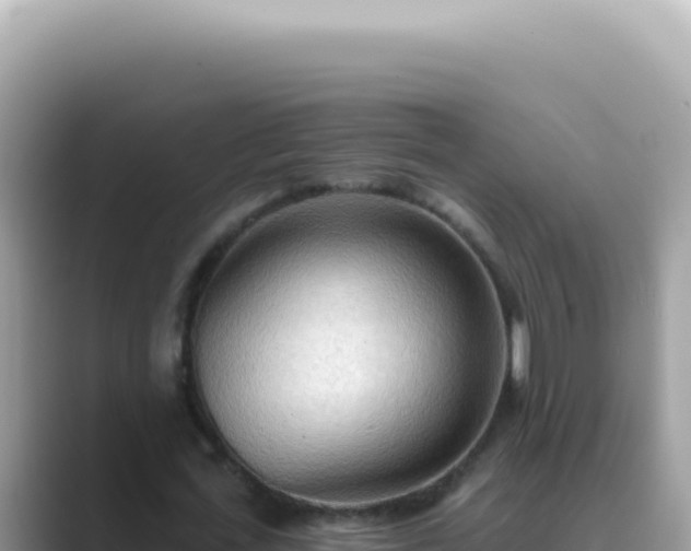 X0000089860723200707051133