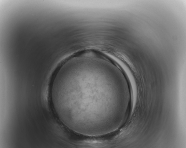 X0000089860724200707051133