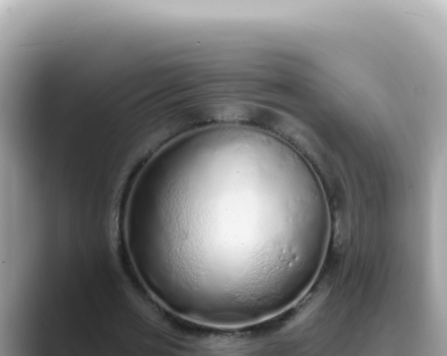 X0000089860725200707051133