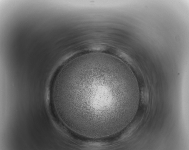 X0000089860726200707051133