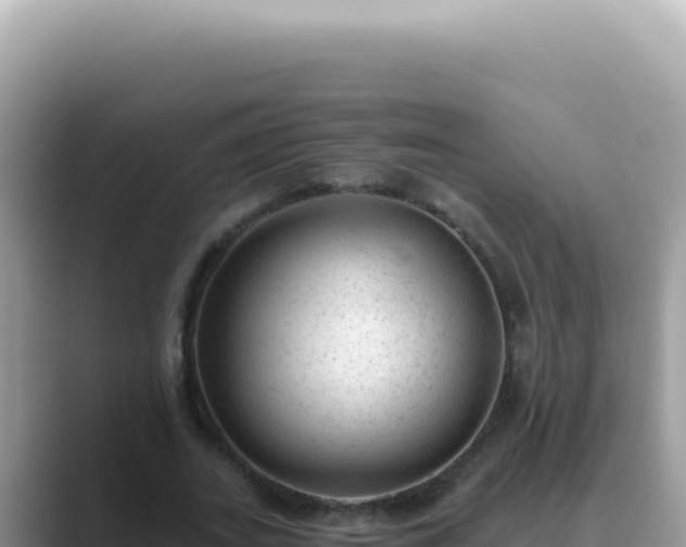 X0000089860727200707051133