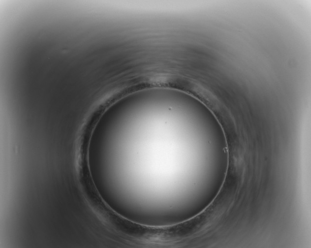 X0000089860728200707051133