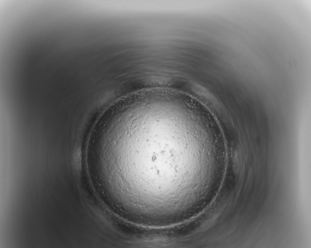 X0000089860729200707051133