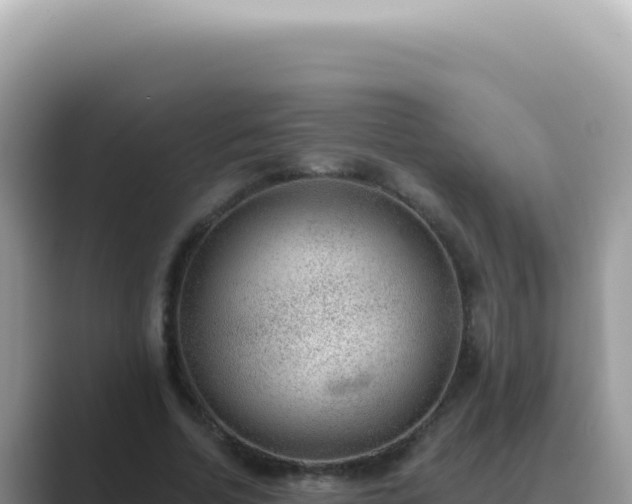 X0000089860730200707051133