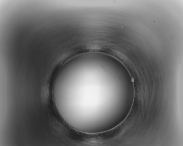 X0000089860731200707051133
