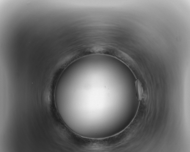 X0000089860732200707051133