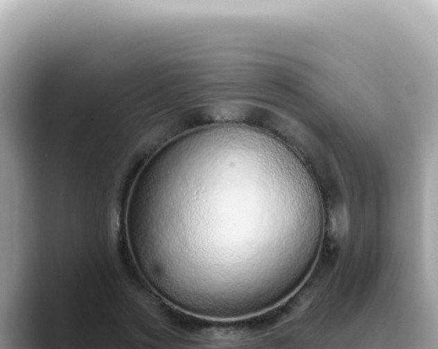 X0000089860733200707051133
