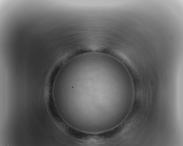 X0000089860736200707051133