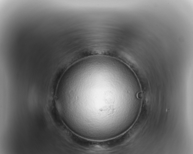 X0000089860737200707051133