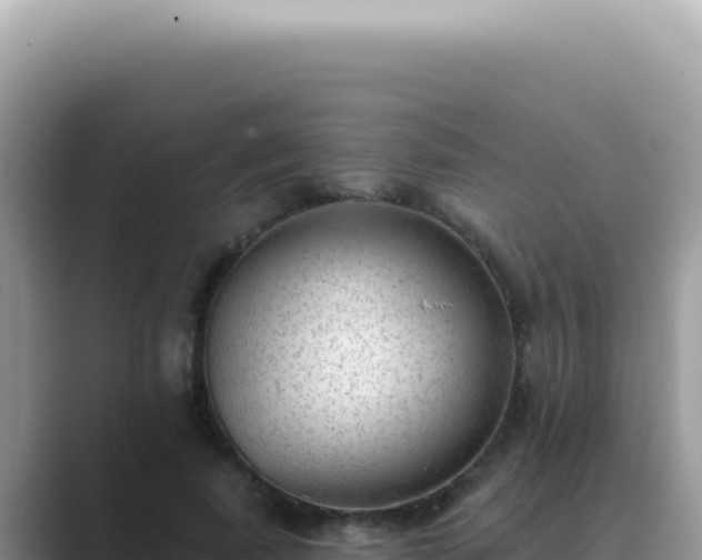 X0000089860739200707051133