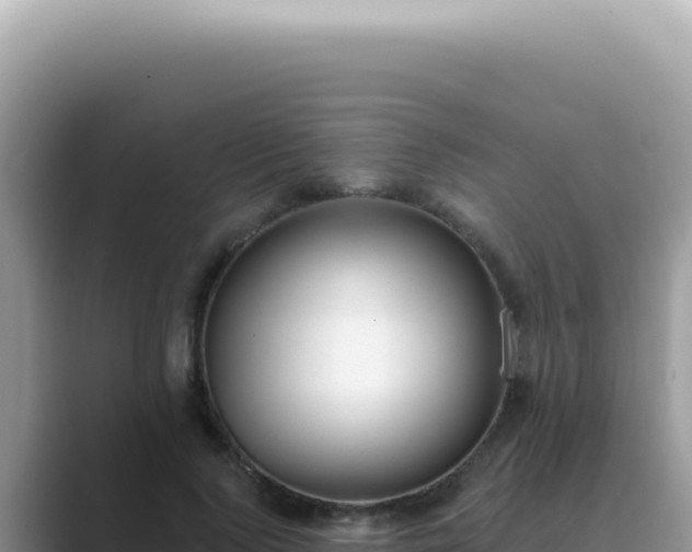 X0000089860740200707051133