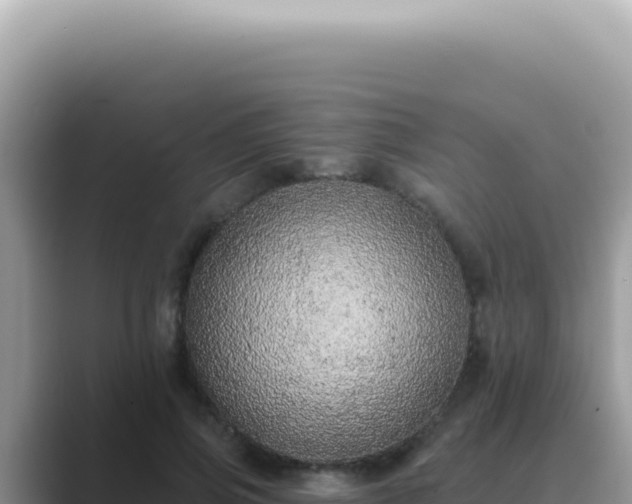 X0000089860741200707051133