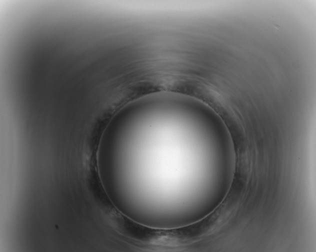 X0000089860750200707051133