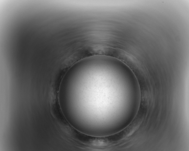X0000089860751200707051133