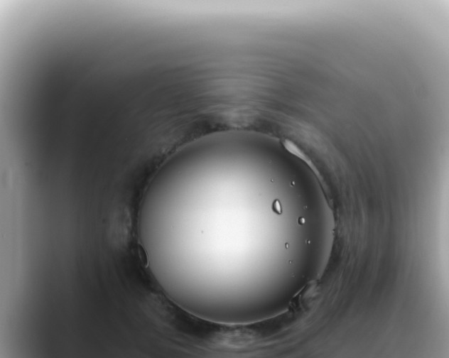 X0000089860752200707051133