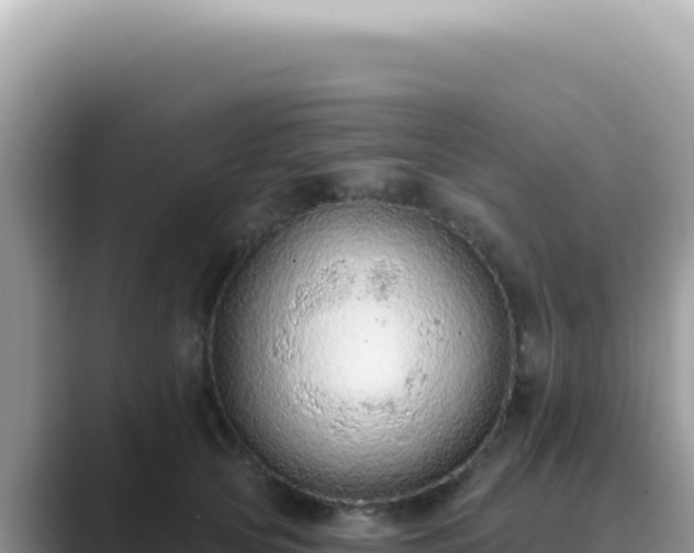 X0000089860753200707051133