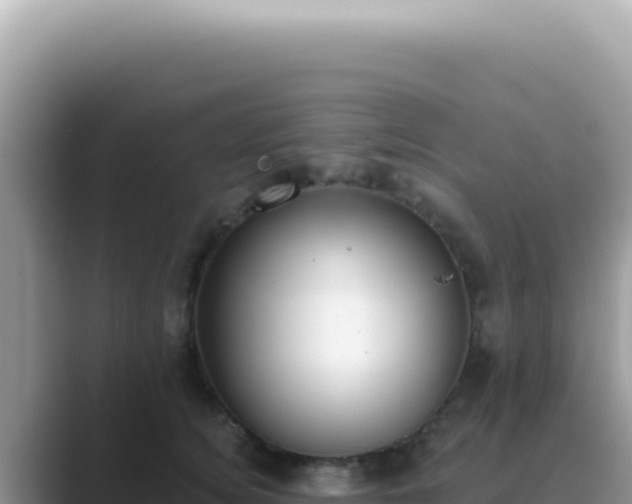 X0000089860756200707051133