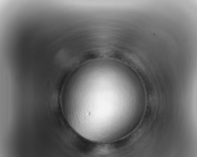 X0000089860757200707051133