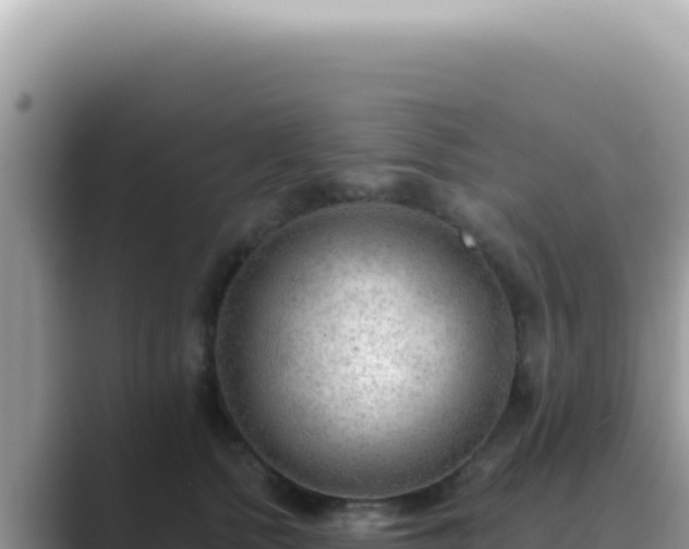 X0000089860758200707051133