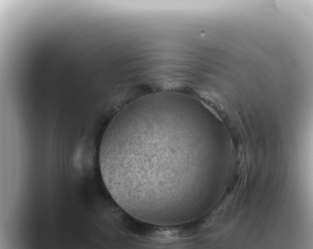 X0000089860760200707051133