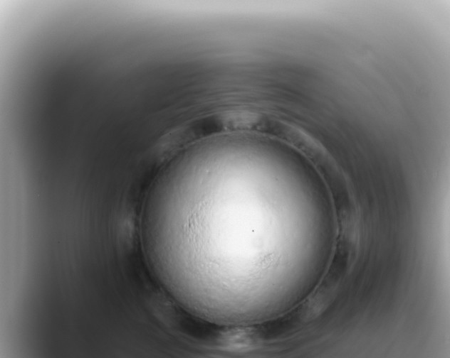 X0000089860761200707051133