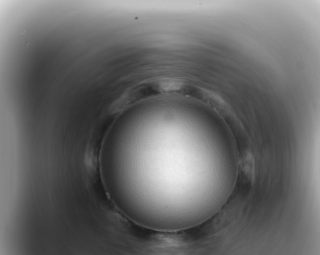 X0000089860763200707051133