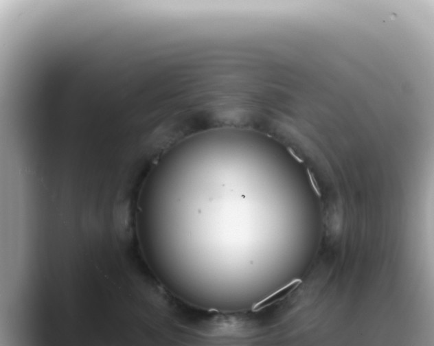 X0000089860764200707051133
