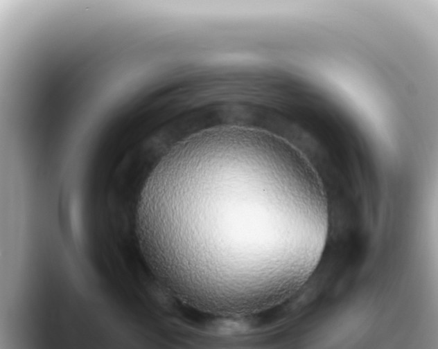 X0000089860765200707051133