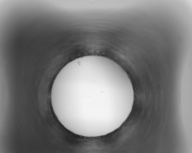 X0000089860769200707051133