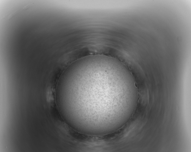 X0000089860770200707051133