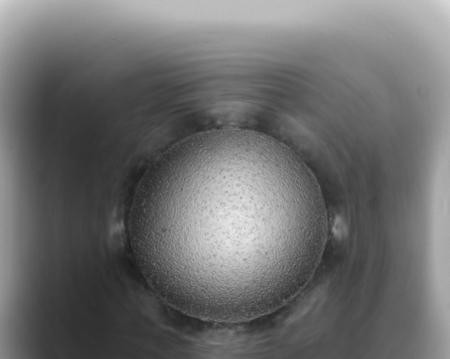 X0000089860771200707051133